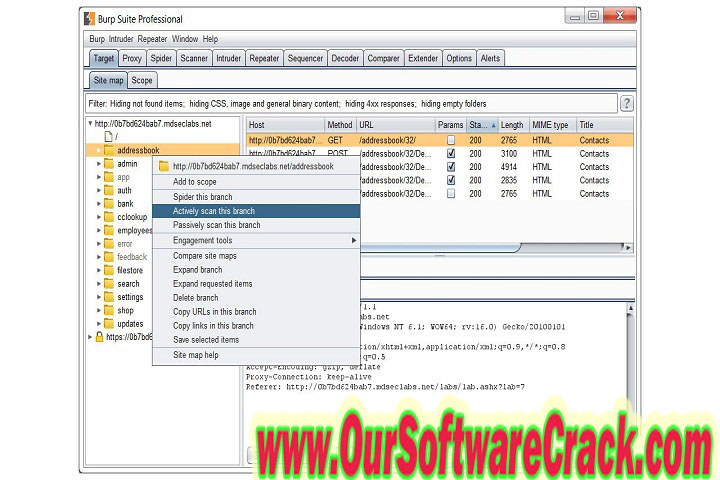 Burp Suite Professional 2022 v11.4 Free Download with patch