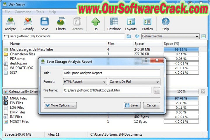 Disk Savvy pro 14.4.28 PC Software