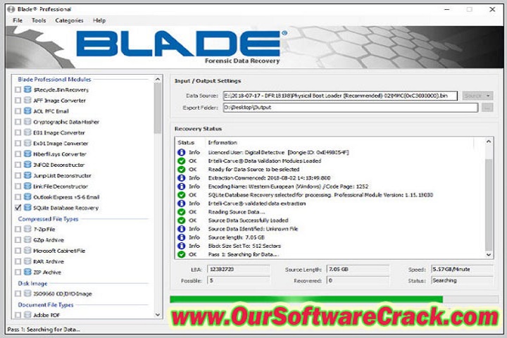 Blade Professional 1.19.23082.04 PC software with crack