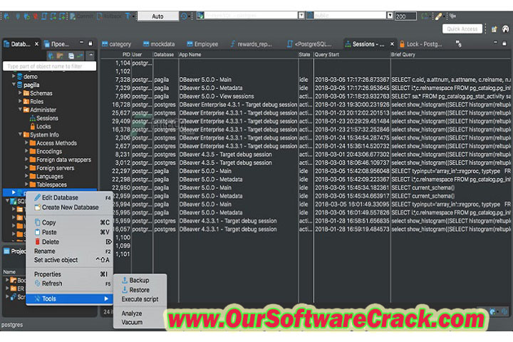 DBeaver Ultimate 23.0 PC Software with patch