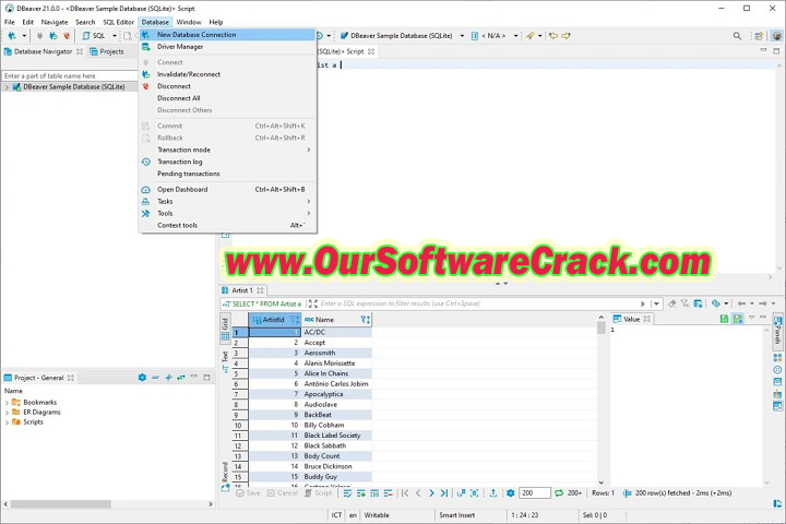 DBeaver Ultimate 23.0 PC Software with crack