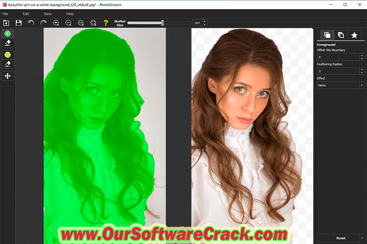 Snapclear v1.0.0 PC Software with crcak