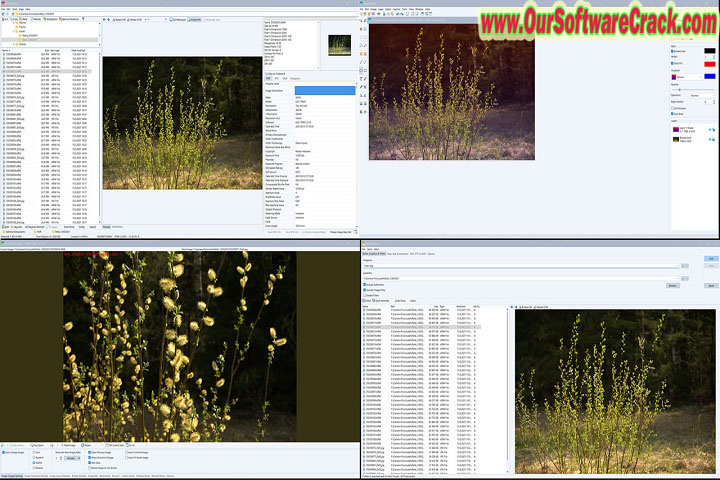 WildBit Viewer 6.9 PC Software with keygen