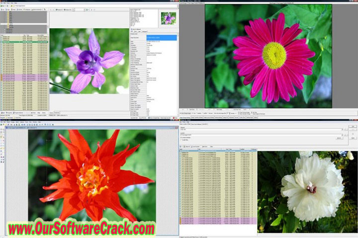 WildBit Viewer 6.9 PC Software with crack
