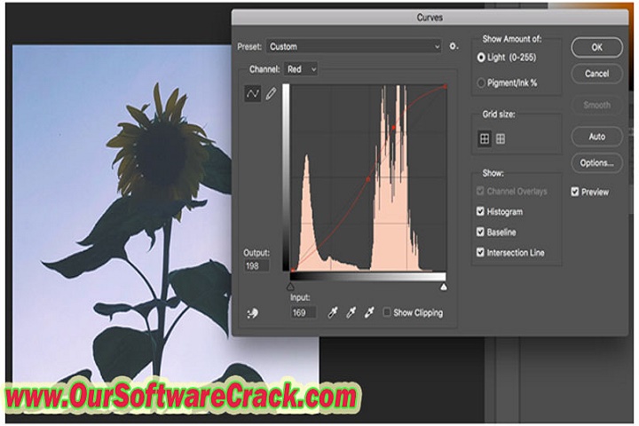 Flat Pack FX Polaroid Slideshow v1.0 PC Software with crack