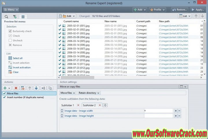 Gillmeister Rename Expert 5.29.8 PC Software with patch