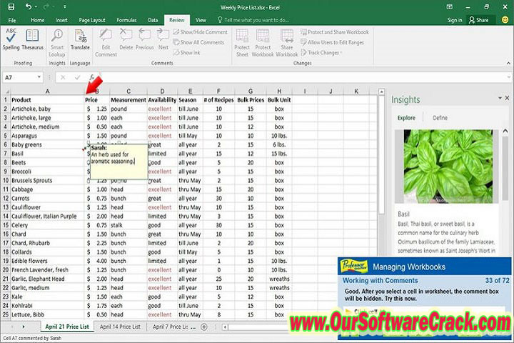 Professor Teaches Excel 2021 v1.0 PC Software with patch