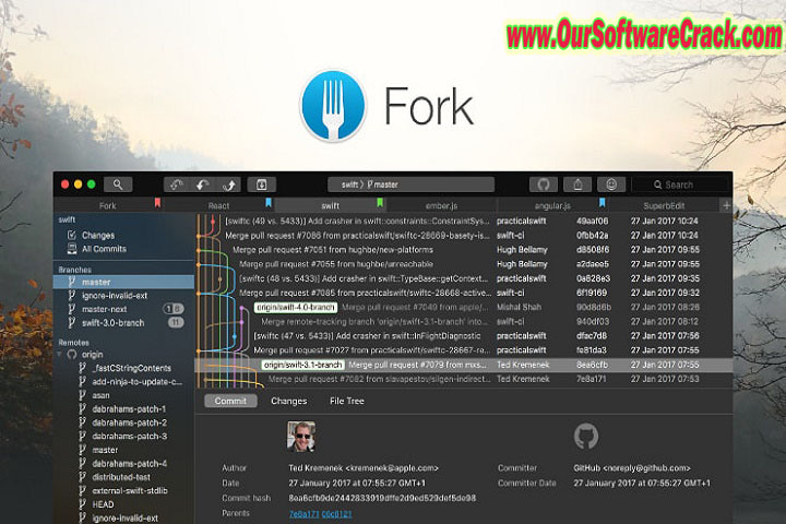 Danil Pristupov Fork v1.74.1.0 PC Software with carck