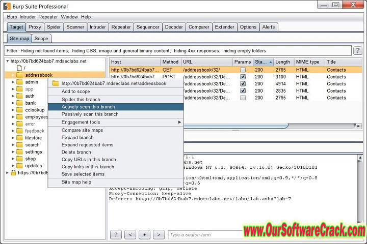 Burp suite professional v2023.1.1 PC Software with keygen