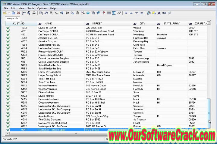 DBF Viewer 2000 v8.35 PC Software with patch