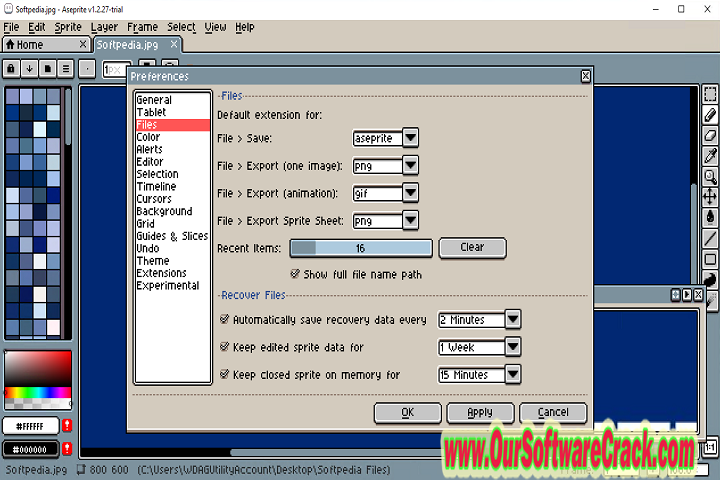 Aseprite v1.3.6 PC Software with keygen