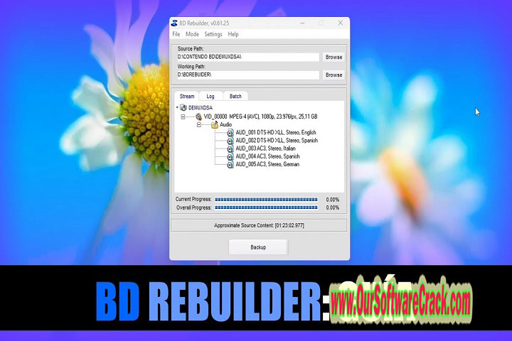 BD Rebuilder v0.62.10 Software PC