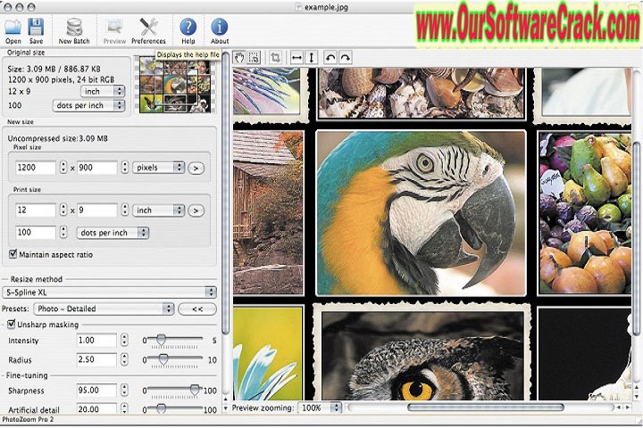 Benvista PhotoZoom Pro v9.0.2 Software PC